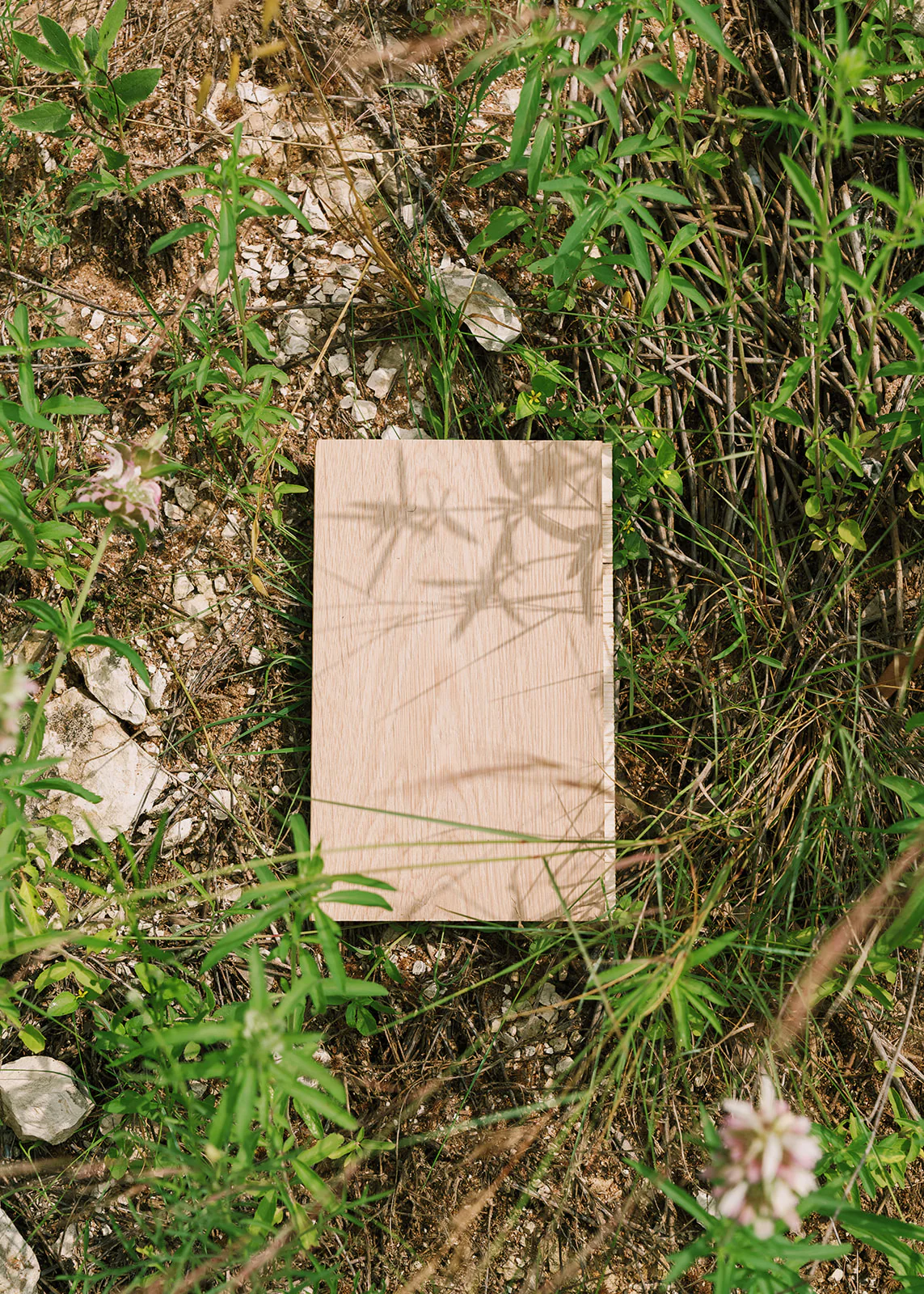 Aksel - Image 3